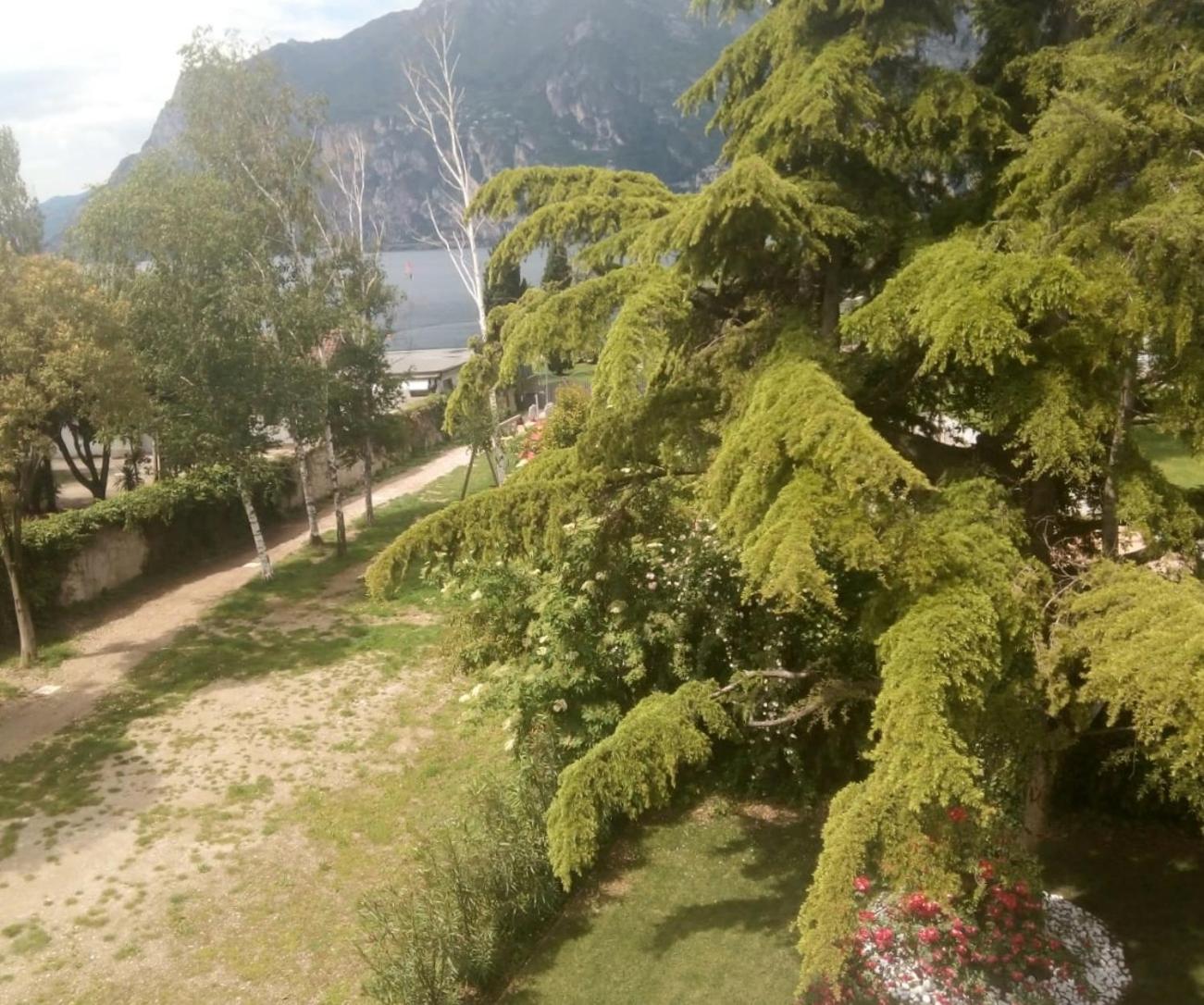 توربولي Villa Torbole المظهر الخارجي الصورة